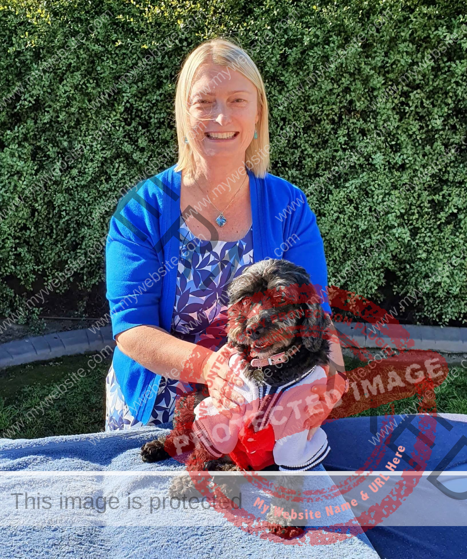 Diana Fels Reiki training teacher healing animal dog on table