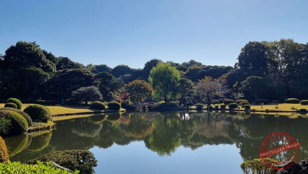 Reflections on water Gyoen Park Tokyo Japan PTSD and EMDR Queen of Denial