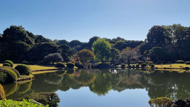 Reflections on water Gyoen Park Tokyo Japan PTSD and EMDR Queen of Denial